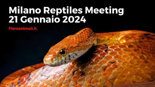 Milano Reptiles Meeting
