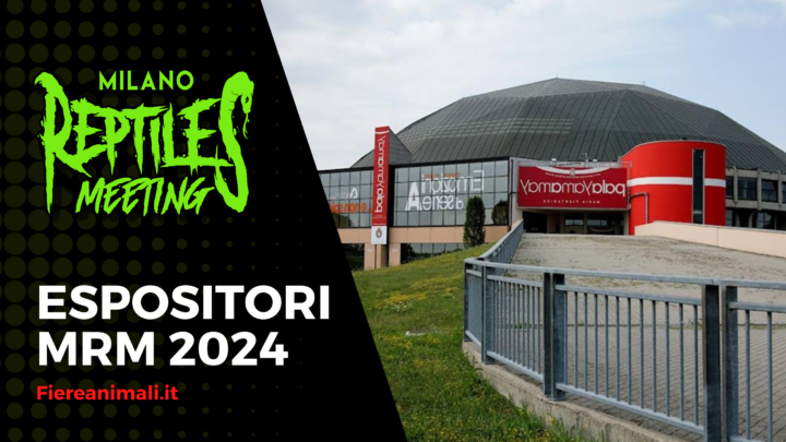 Espositori Milano Reptiles Meeting 2024